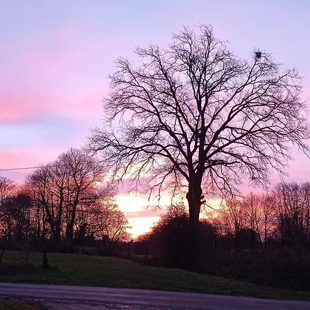 Rouge - 3 Star Ground Floor